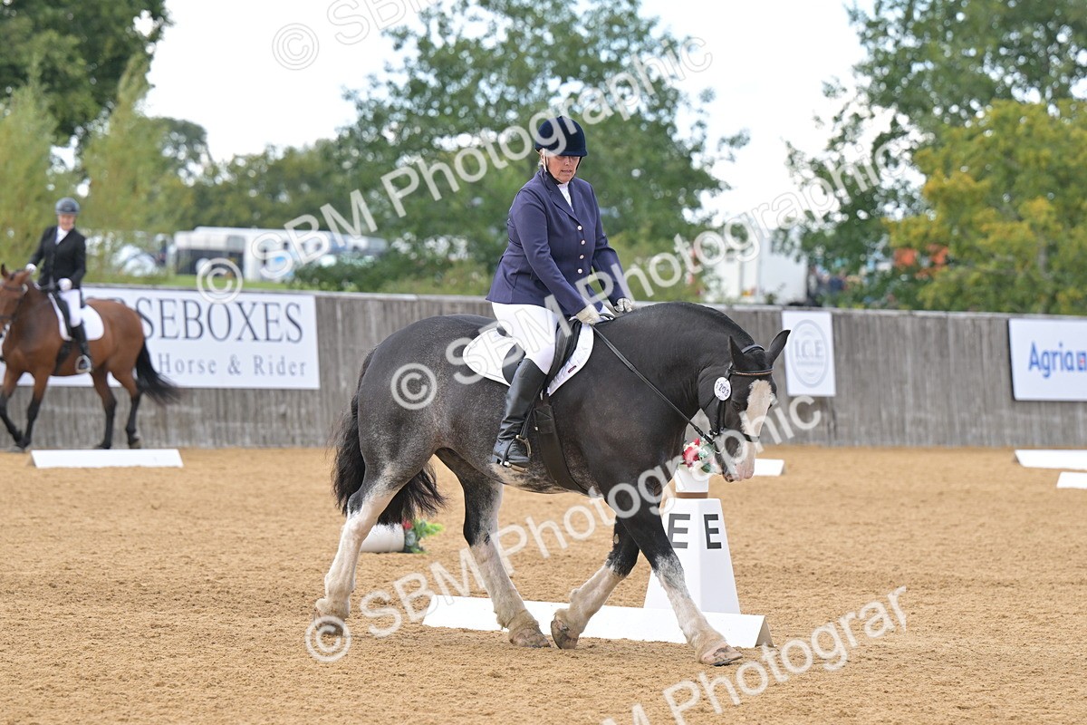 SBM_09274 - D8 - Small Tour Championship Prelim 1