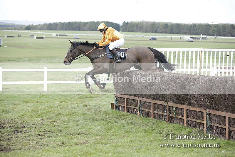PtP 150320 0722 - New Forest Point-to-Point Larkhill 15/03/20