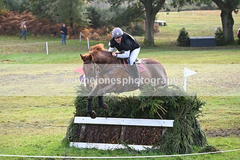 WJ6_2044 - 80cm Cam 1 Time 10:47 to 11:22