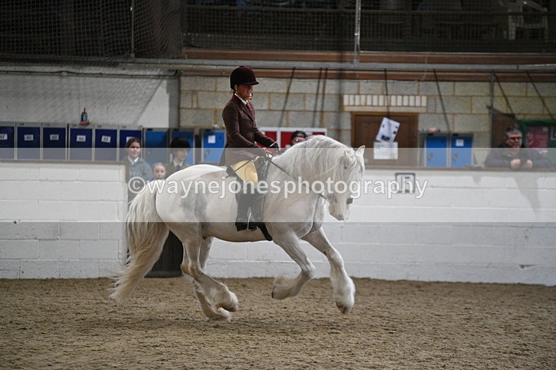 WJ7_4215 - Class 17 Ridden Cob