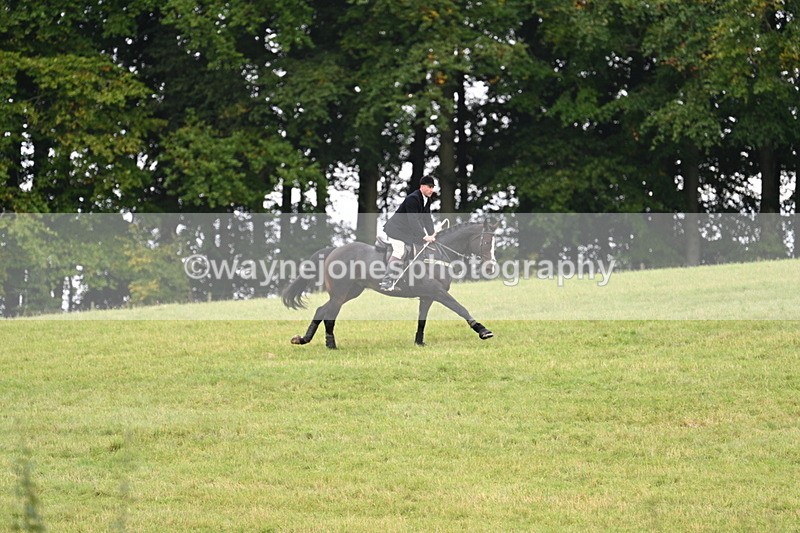 WJ7_4036 - Camera 1 Line 2