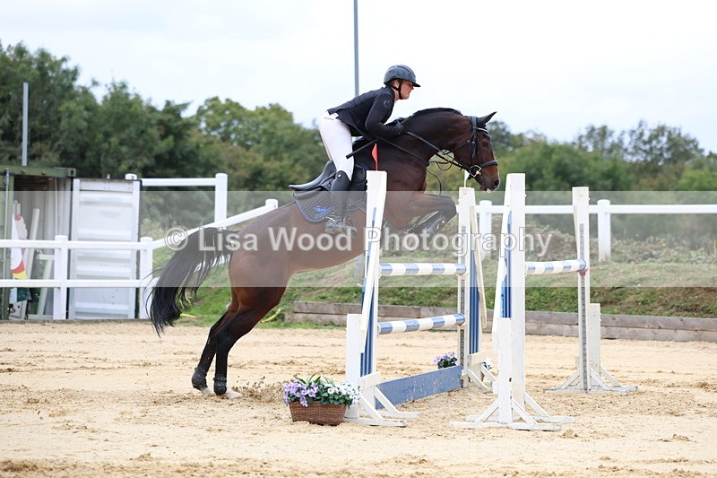 3E7A3377 - Class 9: Senior Foxhunter/1.20 open