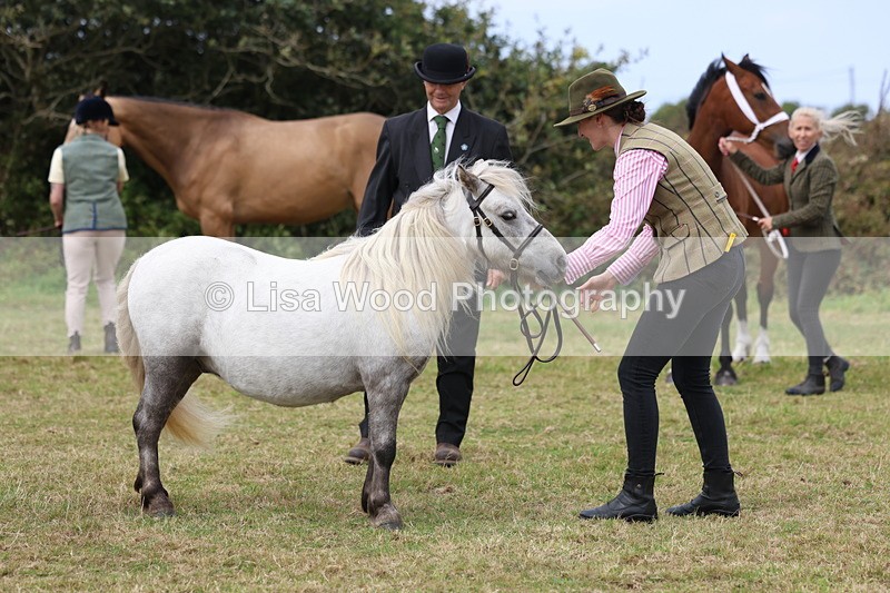 3E7A4451 - Class 15: Three Year Olds