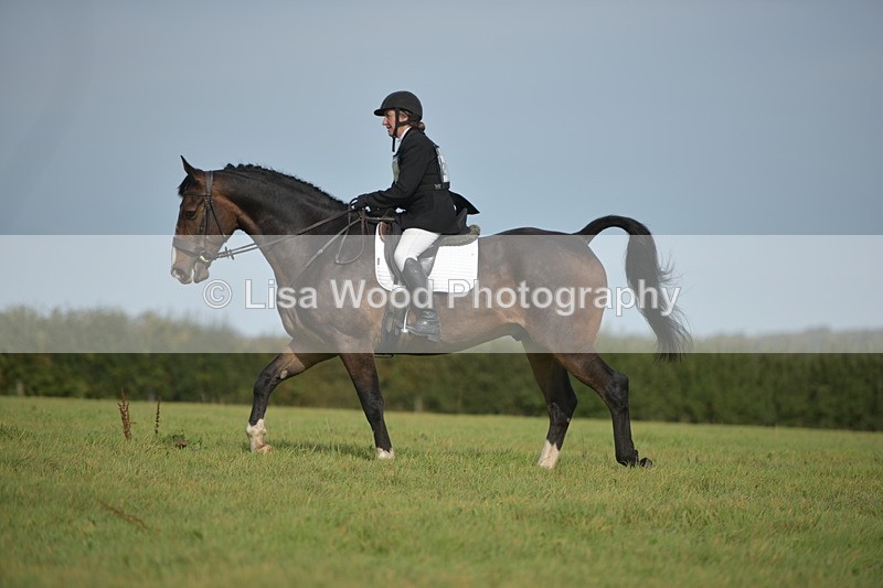 RAY_7900 - Class 2B: Trekenning Open: Dressage