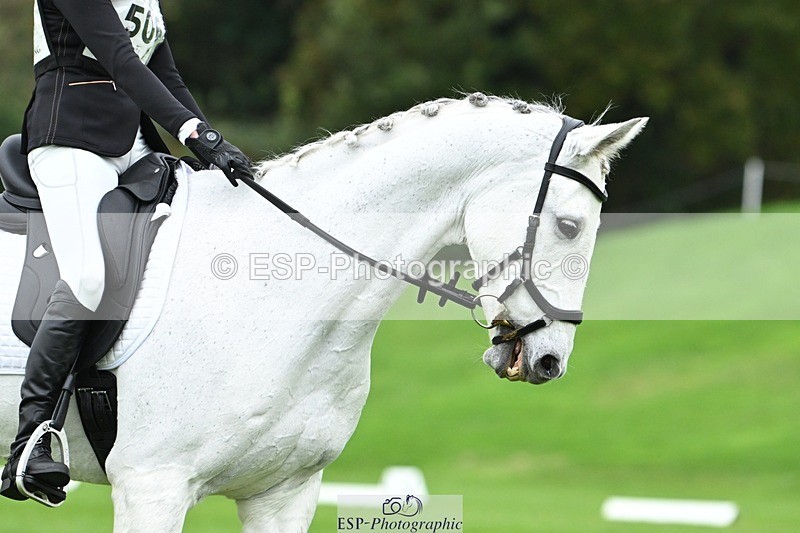 241024-112344-03213 - 506-Emma.Farrar-HER.NAME.IS.LOLA