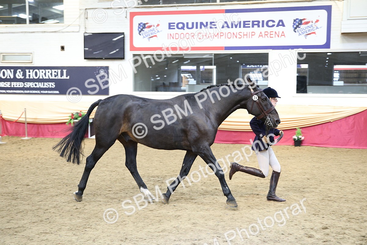 SBM_24287 - Class 905 - Supreme Final - Ridden Veteran