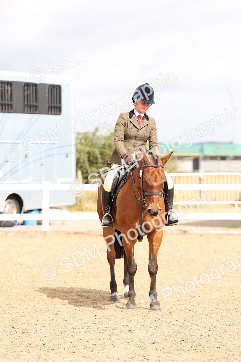 SBM_05166 - Class 56a -  Style & Performance - 50cm (15-19)