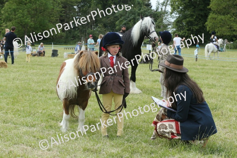 20260614-4286 - Class 18 - Best Junior Handler