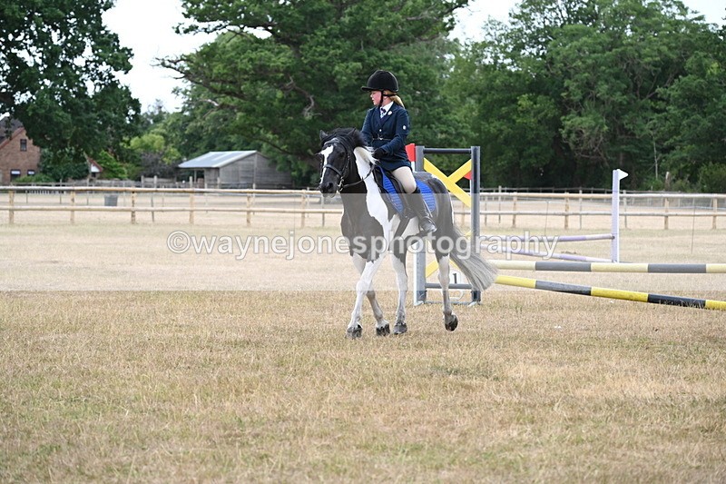 WJ6_9969 - Class 13 Novice Jumping 60cm