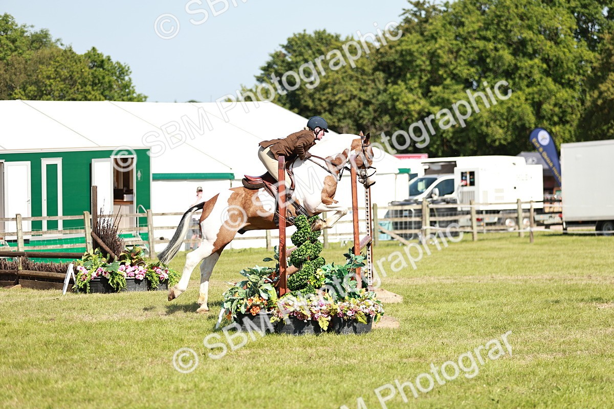 SBM_18799 - Class 114 - RIHS & SEIB Open Working Show Horse