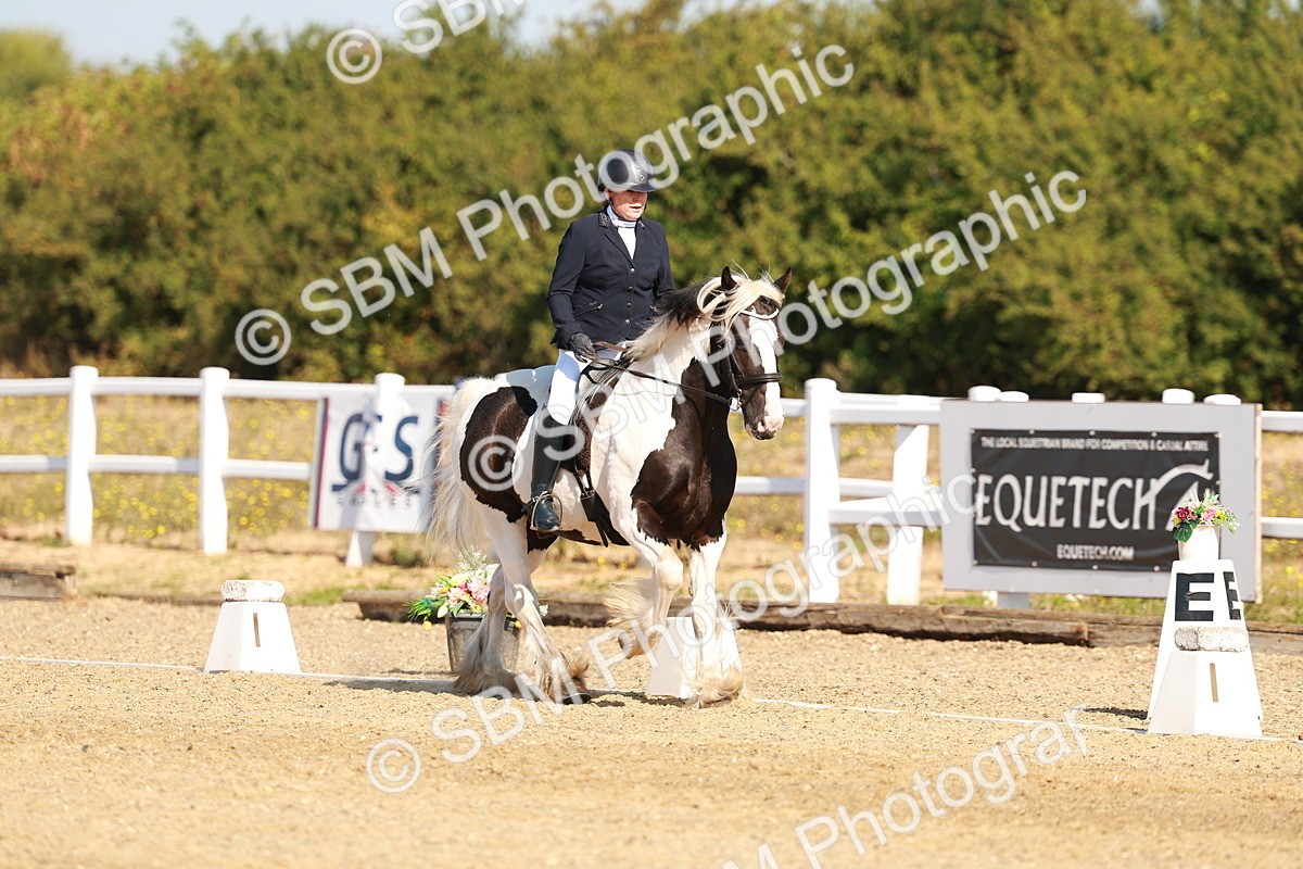 SBM_016749 - Class 9 - N5 Bronze 9.30.10.19