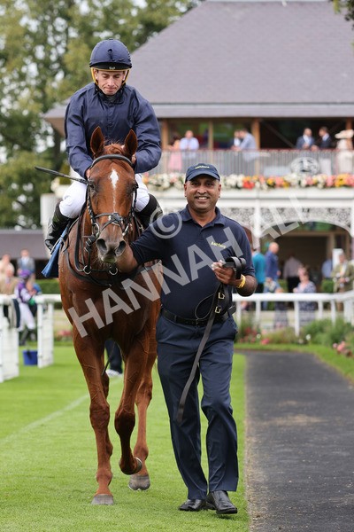 yr20082021r7-39 - Race 7 5.10pm Sky Bet Mile