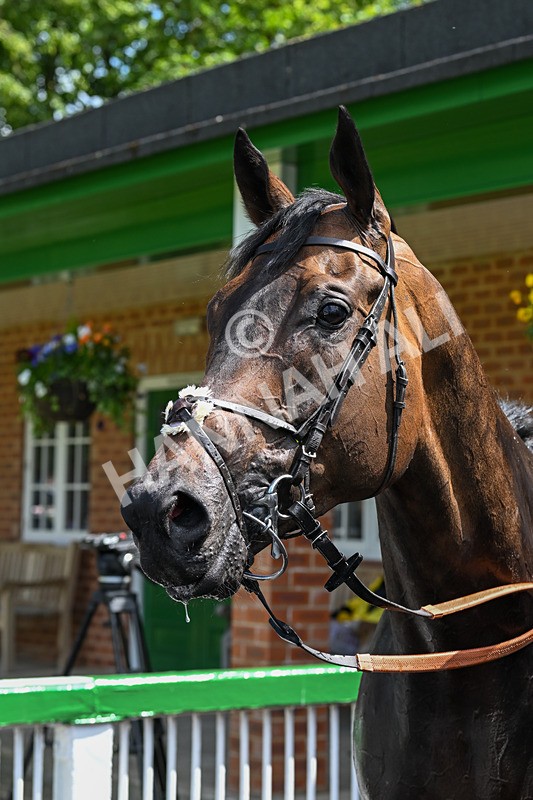 070624-Race 1-True Courage-9515