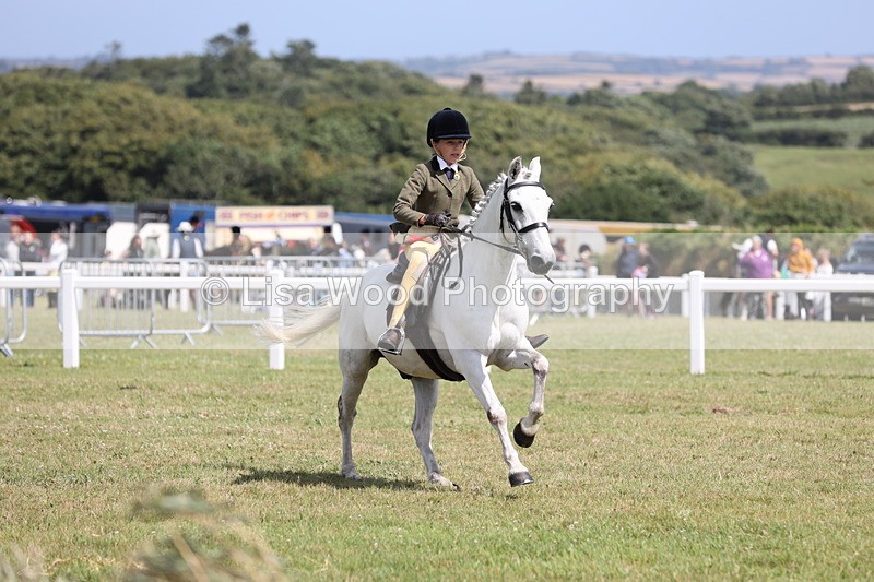 JPP_2115 - Class 19: Working Hunter 60cm