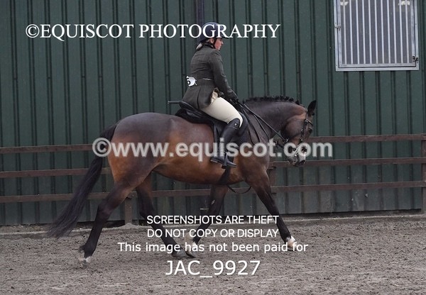 JAC_9927 - CLASS 3 Intermediate Working Hunter (0.70m - 0.85m)