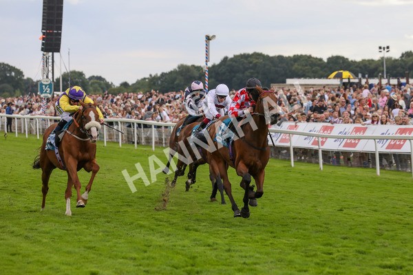 270724-Race 6-Ziggy-4800 - Race 6 5.10pm Sky Bet, For The Fans Handicap