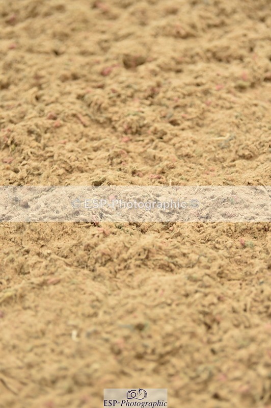 230720A-151504-03464 - Cls 17, 1 Star Silver 1.20m