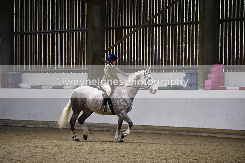 WJ5_8243 - Class 14 Novice Ridden/Rider