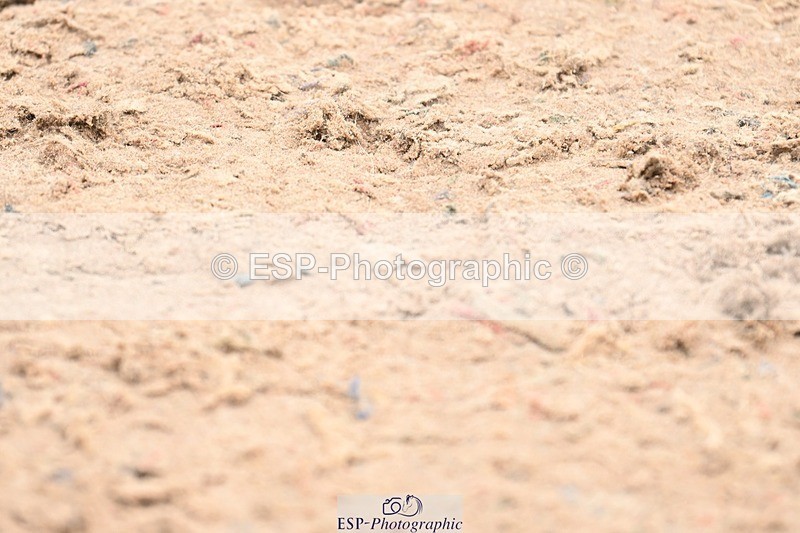 250424-144226-05776 - Cls 41 Ponies - Mini Tour