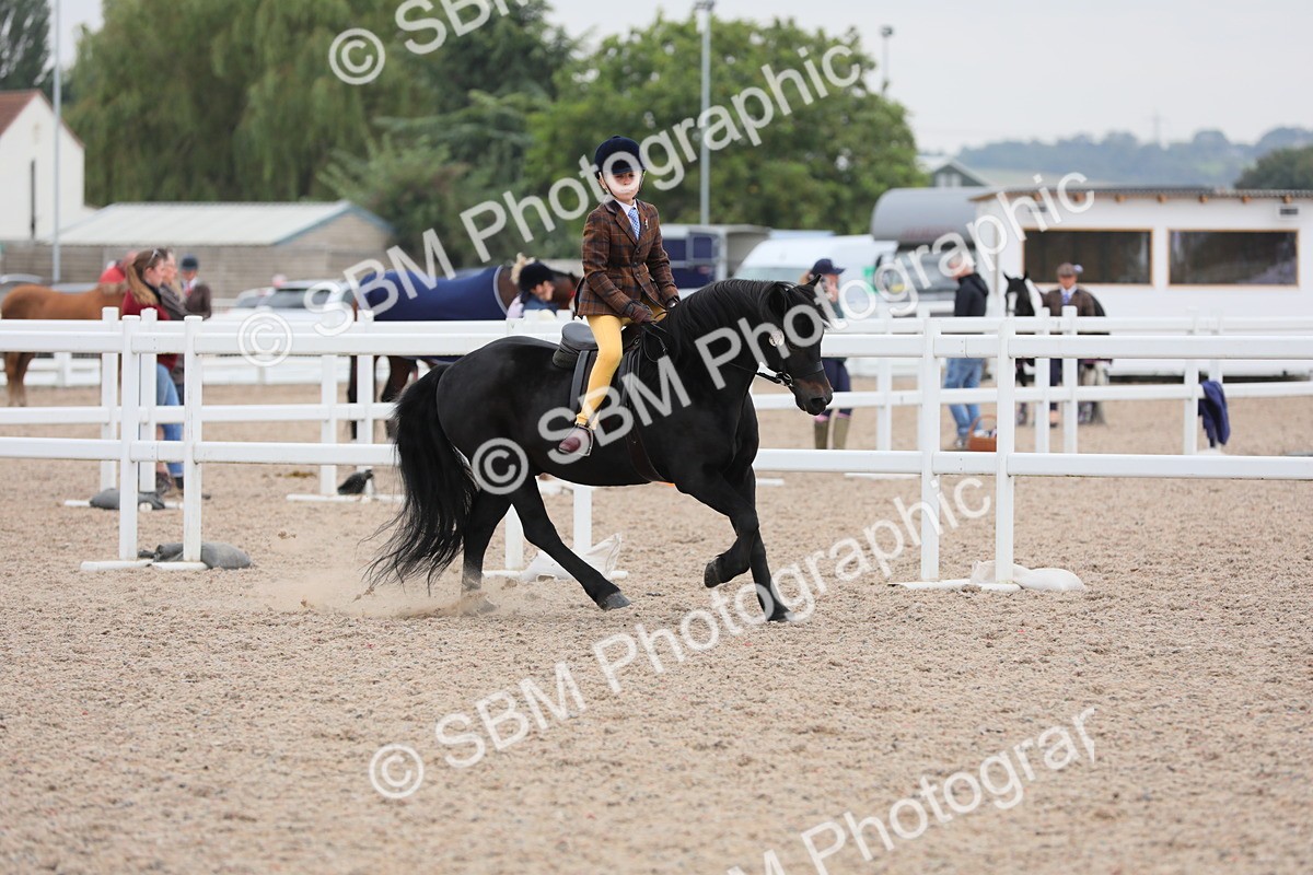 SBM_18145 - Class 316 Best Pony/Rider Combination