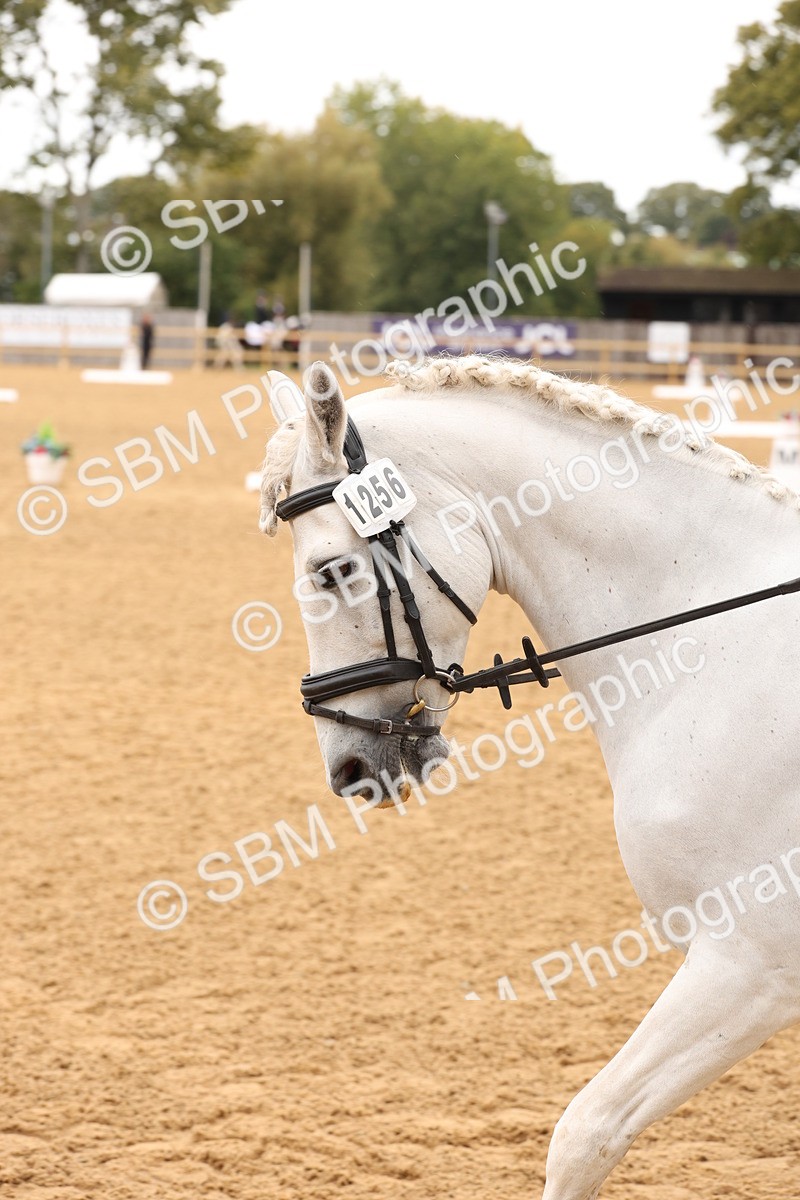 SBM_44028 - D6 - Small Tour Championship Intro 4