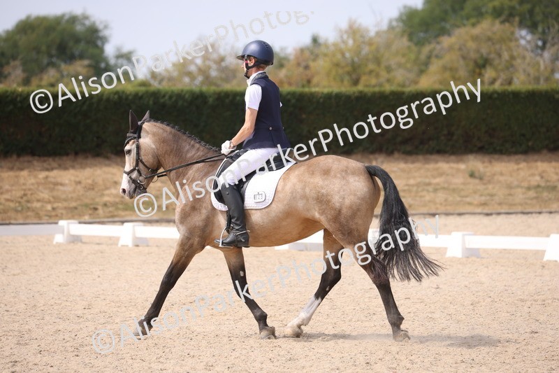 20260816-1157 - Class 4 - Novice 6