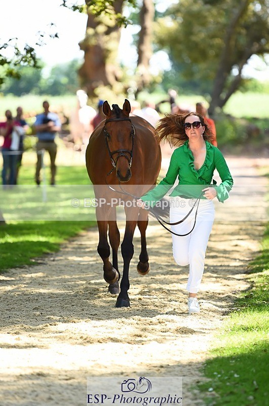 230524-150122-00016 - 303-JESMOND_RENARD-Susie_Berry-WEDTrotUp+DR