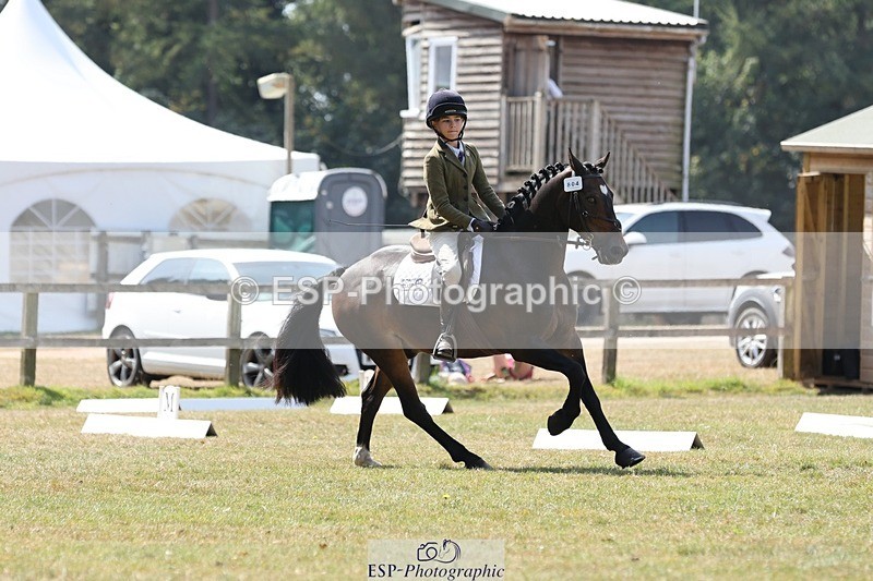 250823A-123413-29832 - Arena C