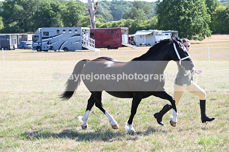 WJ6_4564 - Class 17 Mountain & Moorland