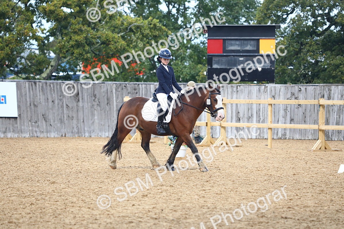 SBM_39033 - D21 - Junior Championship Intro 1