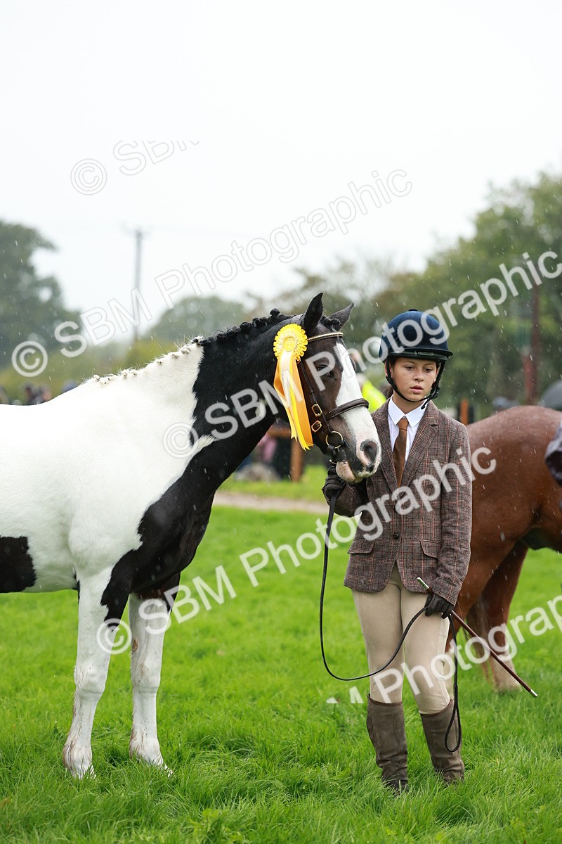 SBM_34965 - S10 - Best In Hand Horse & Pony
