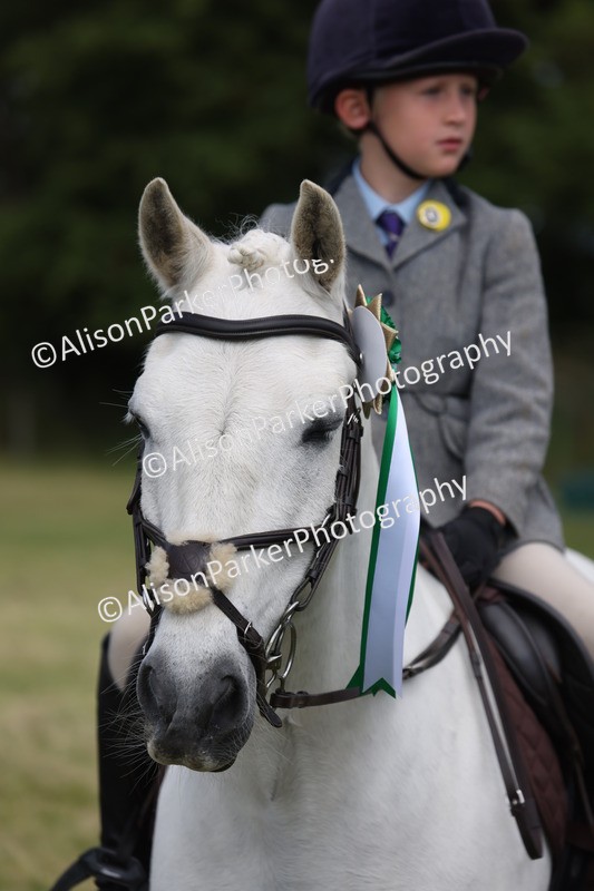 20260614-0829 - Class 20 - Beginners Working Hunter Pony