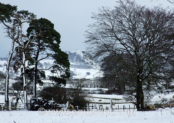  - Wildlife & Landscape