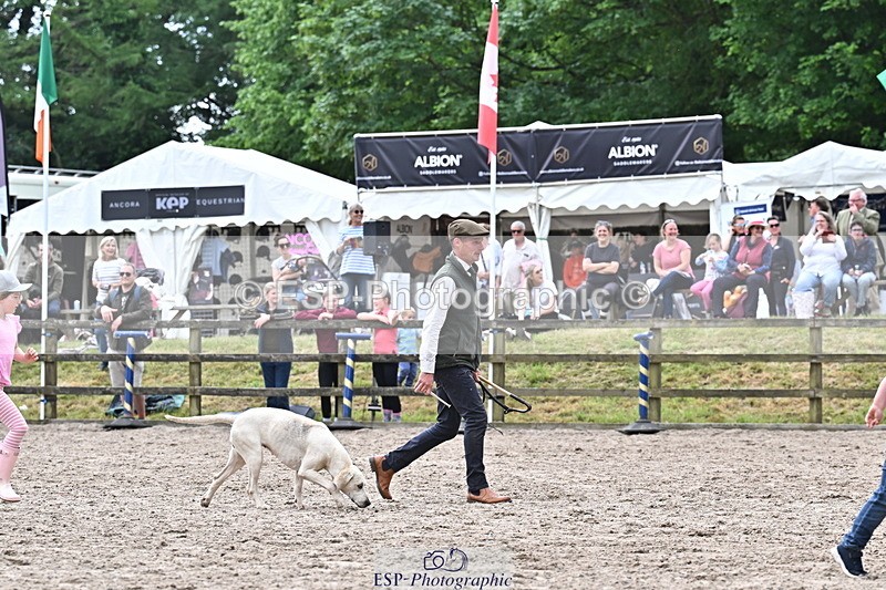 250524A-152851-12796 - East Devon Hounds