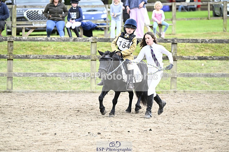 240822X-144214-09216 - 40cm LR R2 13.00 to 15.00