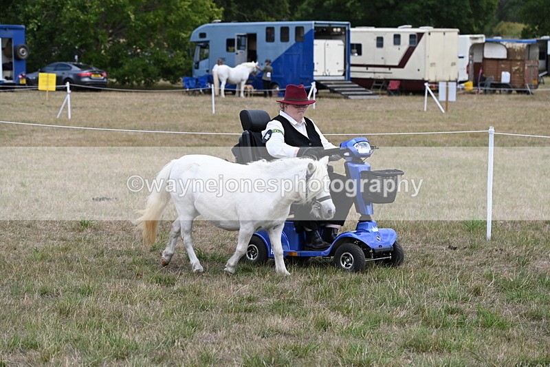 WJ6_6009 - Class 19 In-hand Veterans (Uploaded correct folder)