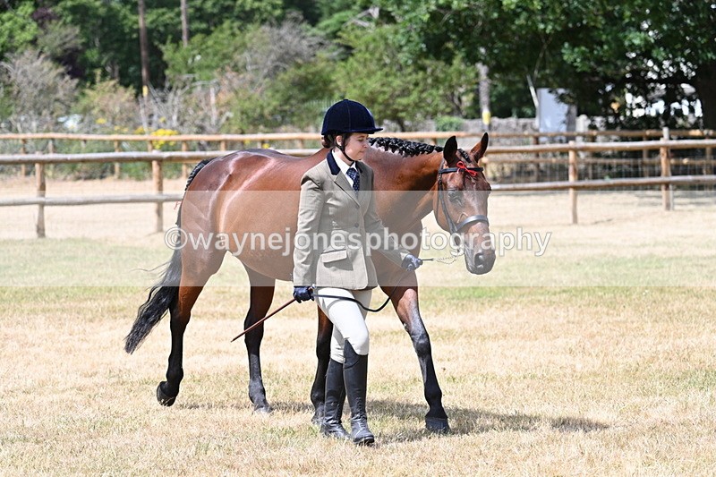 WJ7_1793 - Class 4a Prettiest Mare 14.2hh and over hand