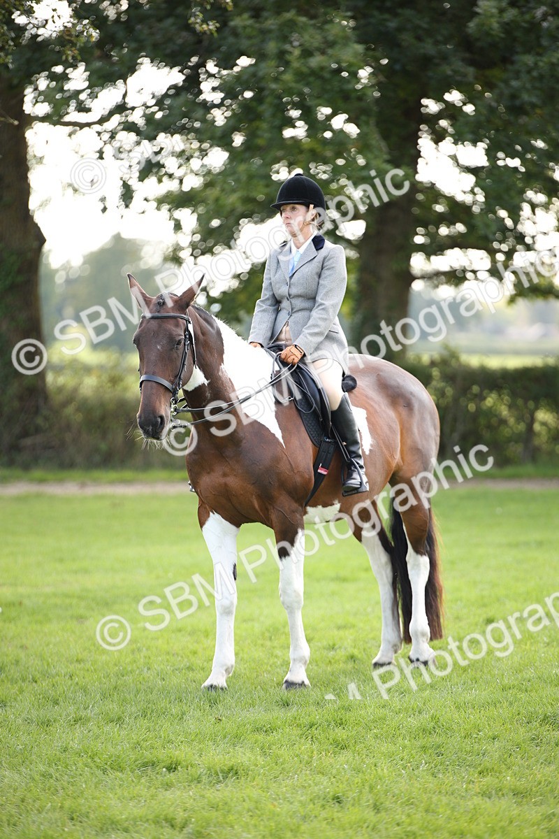 SBM_50152 - S26 - Young Veteran - Ridden