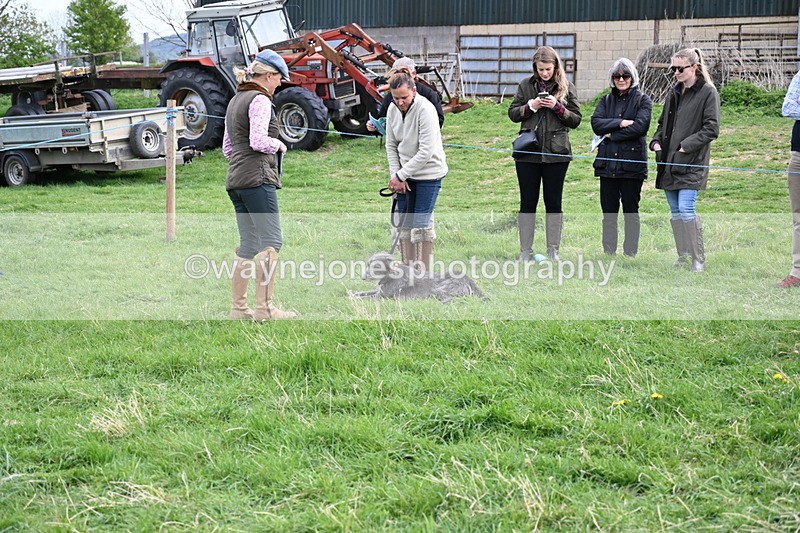 WJ6_8458 - Class 6 Best Rescue