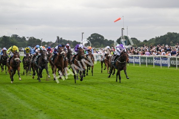 220824-Race 2-Diligently-6809 - Race 2 2.25pm Harry's Half Million By Goffs Premier Yearling Stakes