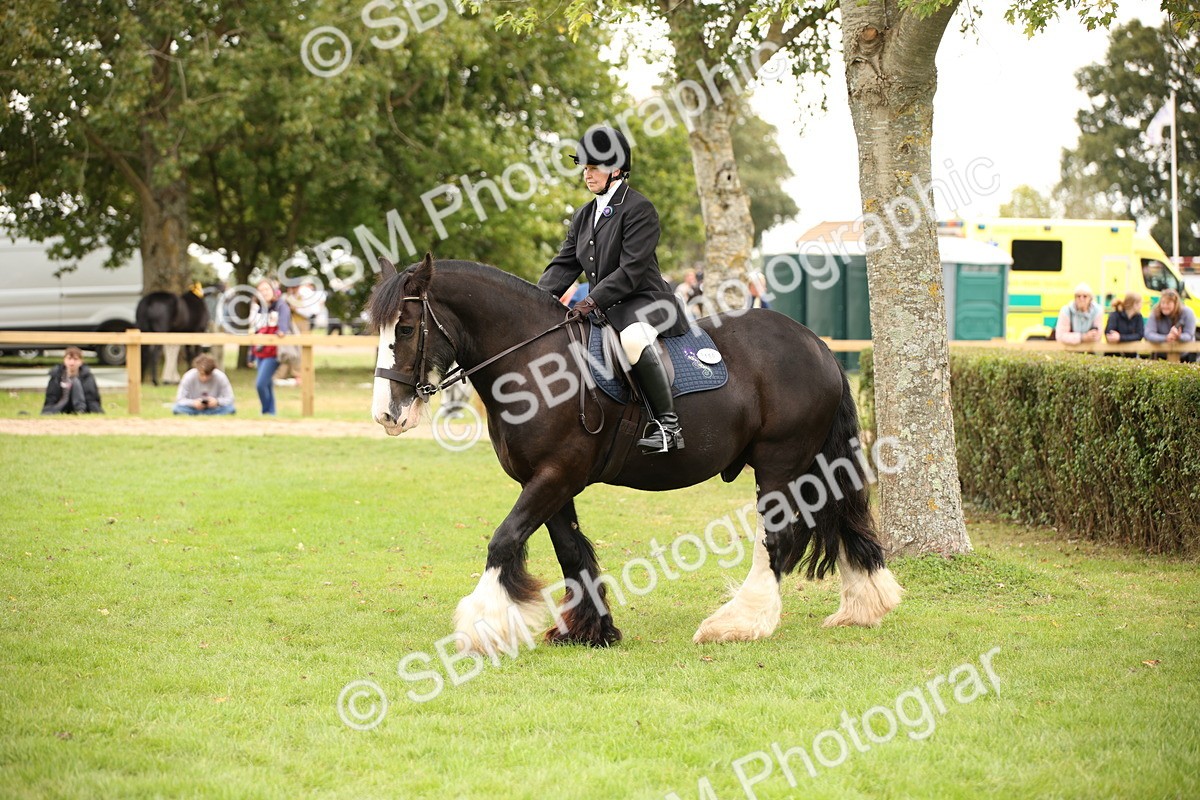 SBM_73488 - S68 - Traditional Cob Ridden