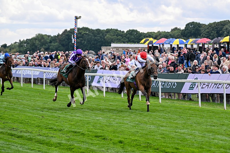 210826-Race 2-Al Nayyir-5390 - Race 2 14.25pm Weatherbys Lonsdale Cup Stakes