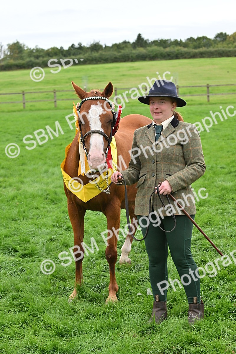 SBM_65052 - In Hand Pony & Younstock Supreme Championship