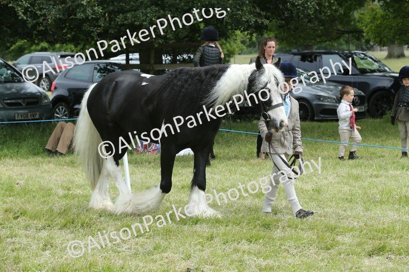 20260614-4258 - Class 18 - Best Junior Handler
