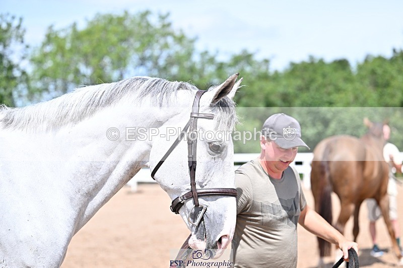 250716-123933-00094 - Trot Up 12.30 to 1.30