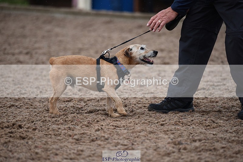 240518A-125958-01224 - Cls 6 Best Veteran