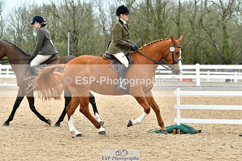 230416A-142958-05229 - Cls 74 Warmblood