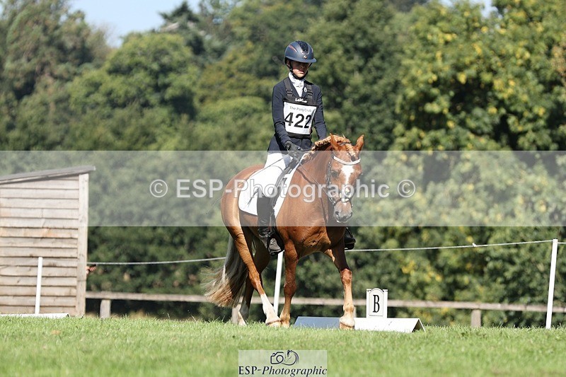 250823A-103603-27736 - Arena D