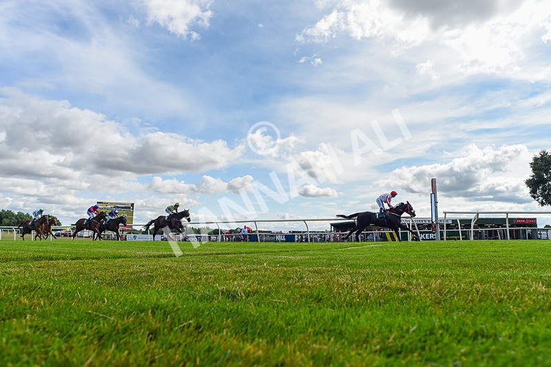 090725-Race 5-Cosmic Soul-5934 - Race 5