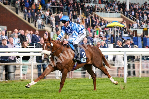 yr11052022r7-17 - Race 7 5.15pm British Stallion Studs EBF Novice Stakes